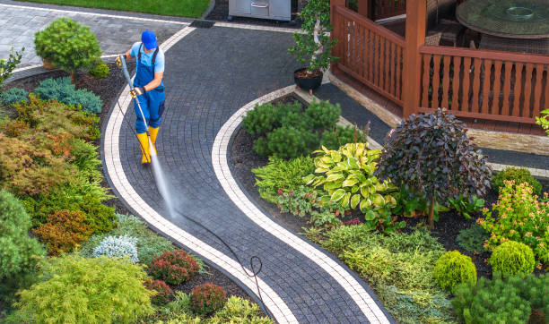  Billington Heights, NY Pressure Washing Pros